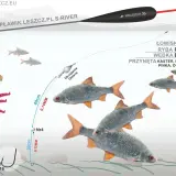 Na ilustracji wędkarz przygotowuje zestaw z przynętą, w tym różową ochotką, by złowić płoć lub jaź.