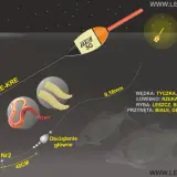 Ilustracja przedstawia zestaw do łowienia na spławik: haczyk, przynęty (białe robaki, dendrobena), żyłkę, obciążenie i spławik Jaxon 5G.