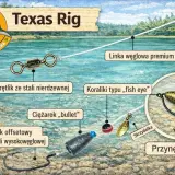 Schemat zestawu Texas Rig: haczyk offsetowy, ciężarek bullet, koraliki, krętlik, linka węglowa i przynęta. Idealny na drapieżniki.