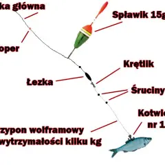 Jak założyć żywca na haczyk? Skuteczne metody i przepisy PZW