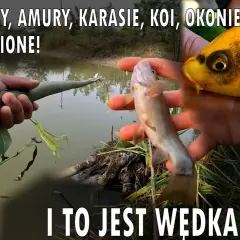 Jak zrobić wędkę z patyka? Prosty poradnik DIY na ryby