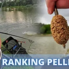 Przynęta Method Feeder: Jak wybrać najlepszą? Poradnik i ranking