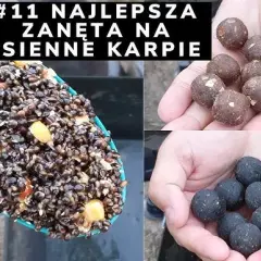 Najlepsza zanęta na karpia: Skuteczne przepisy i porady (do 70 znaków)
