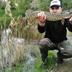 Wędkarz prezentuje okazałego szczupaka złowionego na spinning. Wskazówki, jak łowić szczupaki na spinning, są tu widoczne w praktyce.