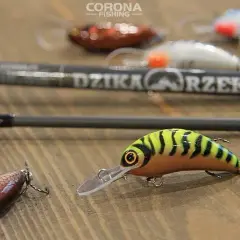 Przynęty na jazia spinning: Woblery, gumy i obrotówki [Sprawdzony wybór]