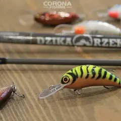 Najlepsze przynęty na jazia: poradnik od A do Z