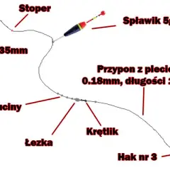 Jak łowić karpia na spławik? Kompletny poradnik krok po kroku