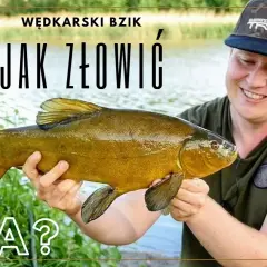 Jak łowić lina na spławik? Sprawdzone metody i porady
