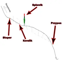Jak uzbroić wędkę spławikową? Prosty poradnik krok po kroku