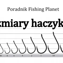 Najlepszy haczyk na amura: Rozmiar, kształt i typy. Poradnik.