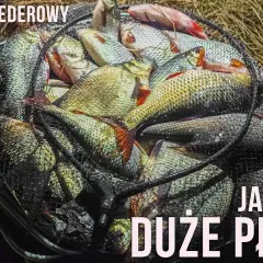 Sensas Gros Gardons: Sekret łowienia dużych płoci - Poradnik