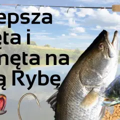 Skuteczna zanęta na ryby: przepisy i porady dla wędkarzy