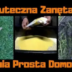 Domowa i gotowa zanęta na karasia: przepisy i sekrety sukcesu