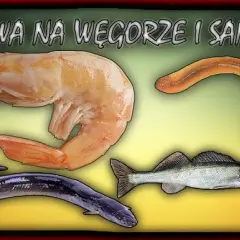 Skuteczna zanęta na węgorza: Domowe przepisy i sekrety połowu