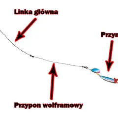 Jak łowić szczupaka na spławik? Skuteczny poradnik krok po kroku