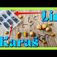 Najlepszy haczyk na karasia: rozmiar, kształt, model poradnik