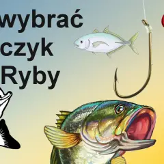 Haczyk nr 8: Na jakie ryby spokojnego żeru? Sprawdź!