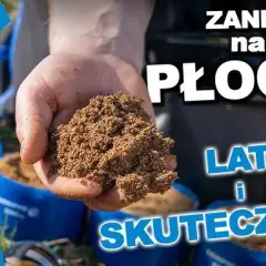 Zanęta 2,5 kg: Jak wybrać, przygotować i łowić skutecznie?