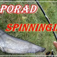 Spinning na spławik: Jak łowić skutecznie? Poradnik krok po kroku