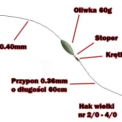Jaka plecionka na suma z gruntu? Wybierz najlepszą!