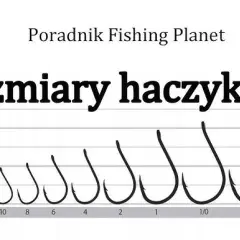 Jaki haczyk na jesiotra? Rozmiar, kształt, typ - kompletny przewodnik