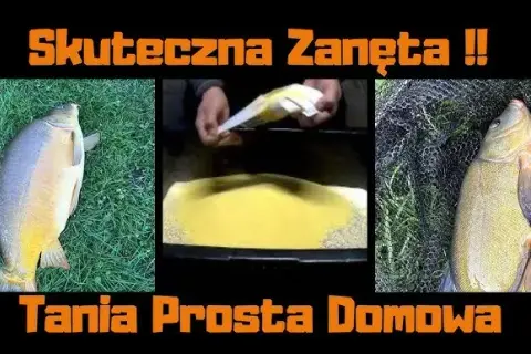 Domowa i gotowa zanęta na karasia: przepisy i sekrety sukcesu