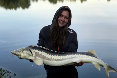 Uśmiechnięta wędkarz z jesiotrem. To był udany zestaw na jesiotra, ryba imponujących rozmiarów.