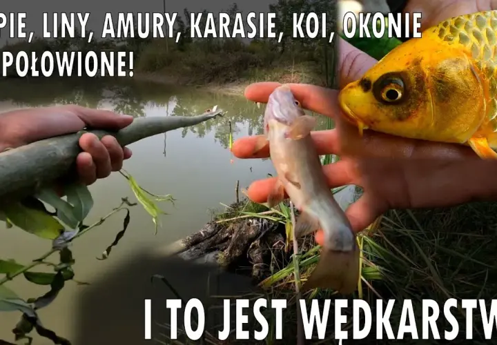 Jak zrobić wędkę z patyka? Prosty poradnik DIY na ryby