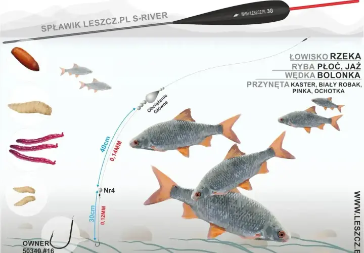 Na ilustracji wędkarz przygotowuje zestaw z przynętą, w tym różową ochotką, by złowić płoć lub jaź.