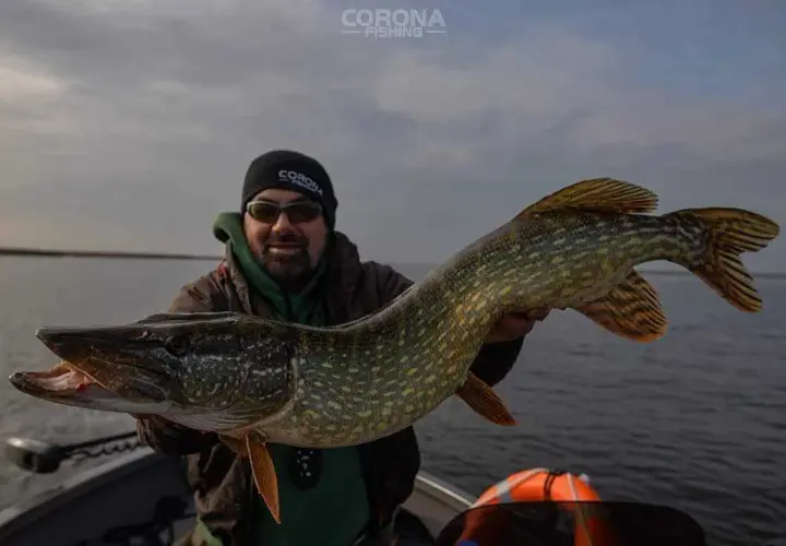 Gdzie łowić na spinning? Najlepsze łowiska i gatunki w Polsce