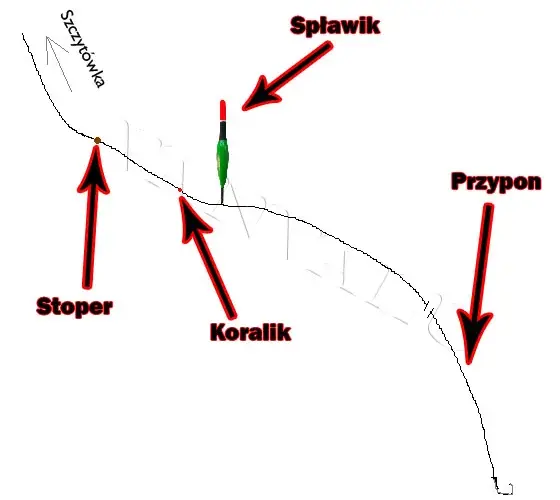 Jak uzbroić wędkę spławikową? Prosty poradnik krok po kroku