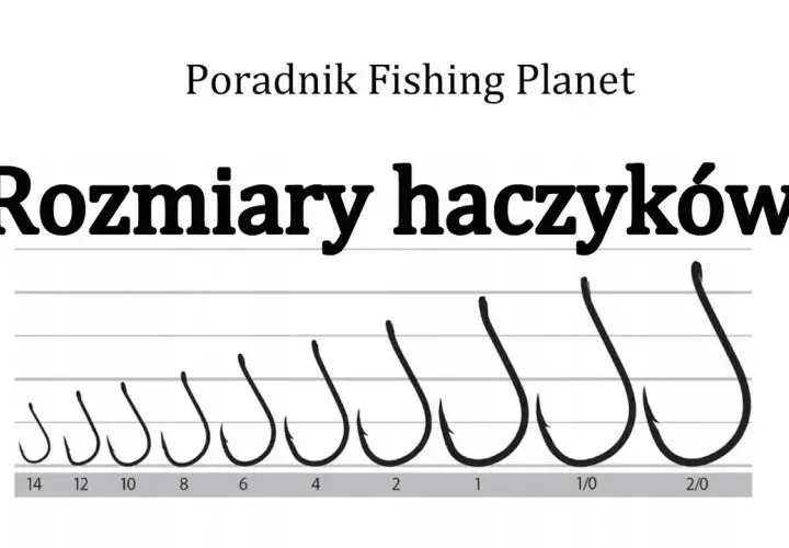 Najlepszy haczyk na amura: Rozmiar, kształt i typy. Poradnik.