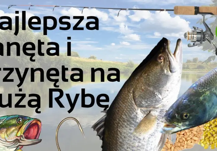 Skuteczna zanęta na ryby: przepisy i porady dla wędkarzy