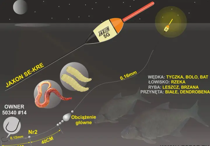 Ilustracja przedstawia zestaw do łowienia na spławik: haczyk, przynęty (białe robaki, dendrobena), żyłkę, obciążenie i spławik Jaxon 5G.