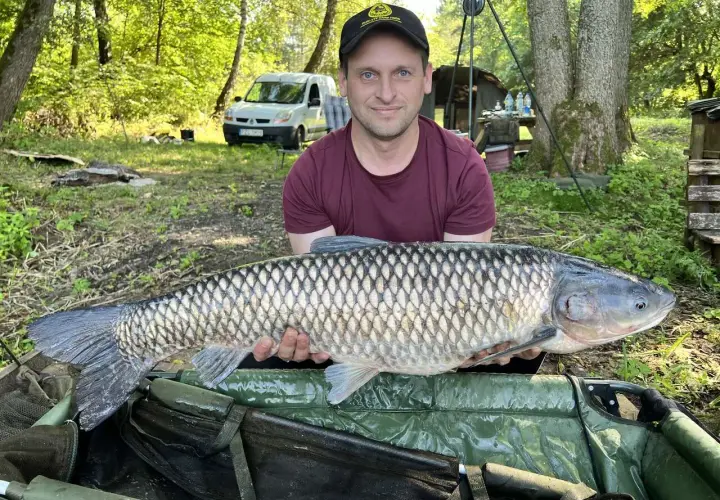 Wędkarz trzyma dużego amura na tle lasu i białego vana.