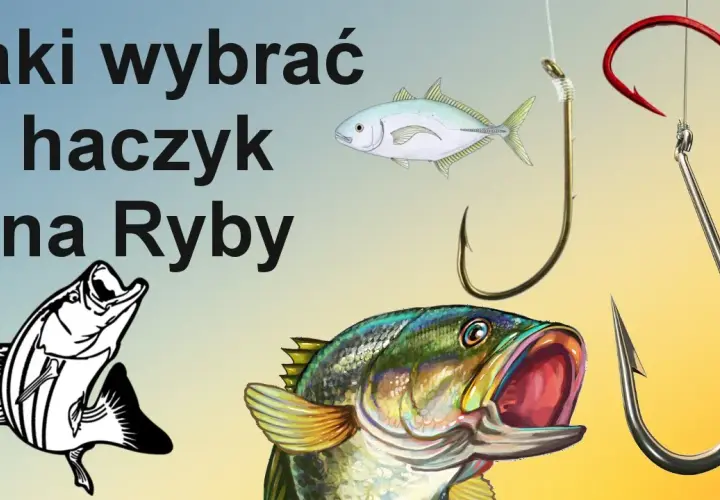 Haczyk nr 8: Na jakie ryby spokojnego żeru? Sprawdź!