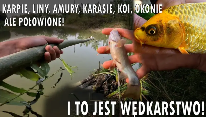 Jak zrobić wędkę z patyka? Prosty poradnik DIY na ryby