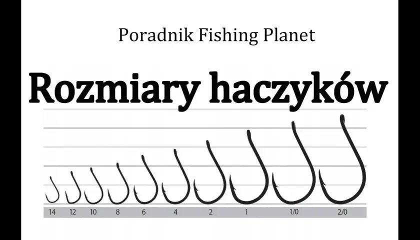 Najlepszy haczyk na amura: Rozmiar, kształt i typy. Poradnik.