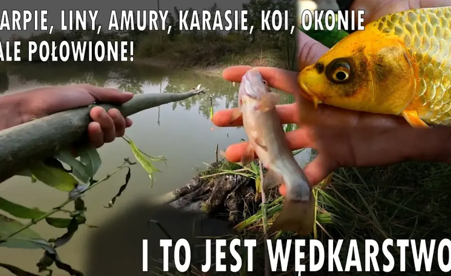 Jak zrobić wędkę z patyka? Prosty poradnik DIY na ryby
