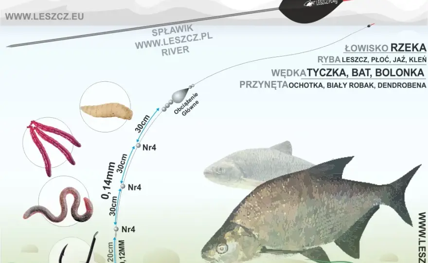Wędka Feeder: Na Jakie Ryby i Gdzie Łowić? Kompletny Przewodnik