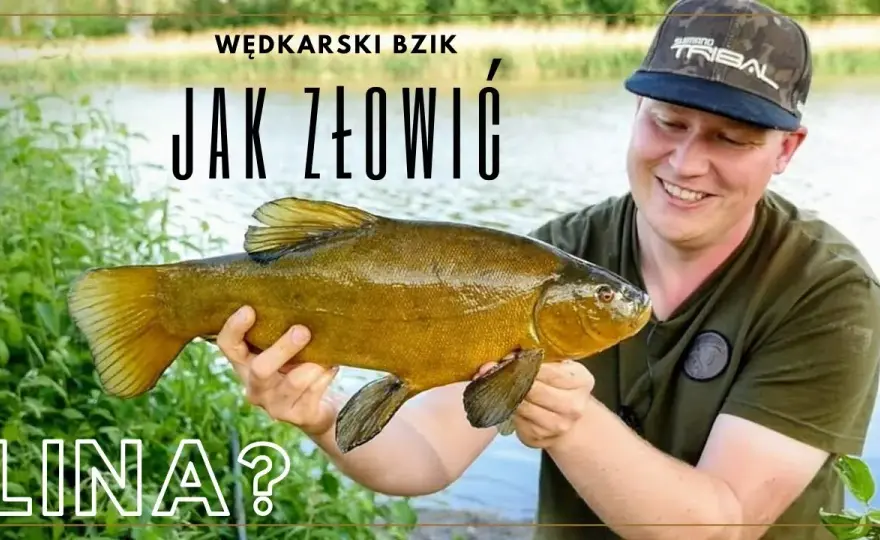 Jak łowić lina na spławik? Sprawdzone metody i porady