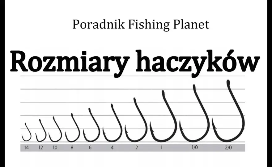Najlepszy haczyk na amura: Rozmiar, kształt i typy. Poradnik.