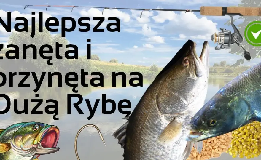Skuteczna zanęta na ryby: przepisy i porady dla wędkarzy