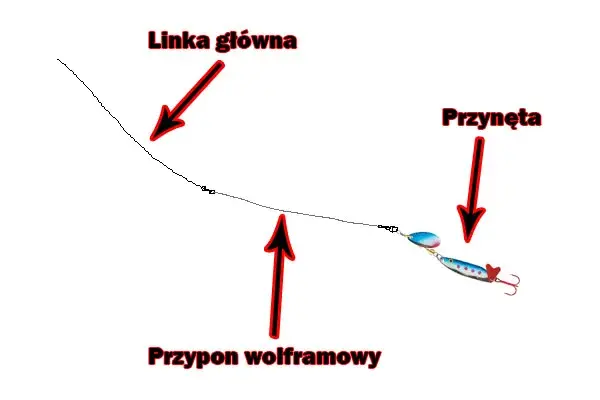 Jak łowić szczupaka na spławik? Skuteczny poradnik krok po kroku