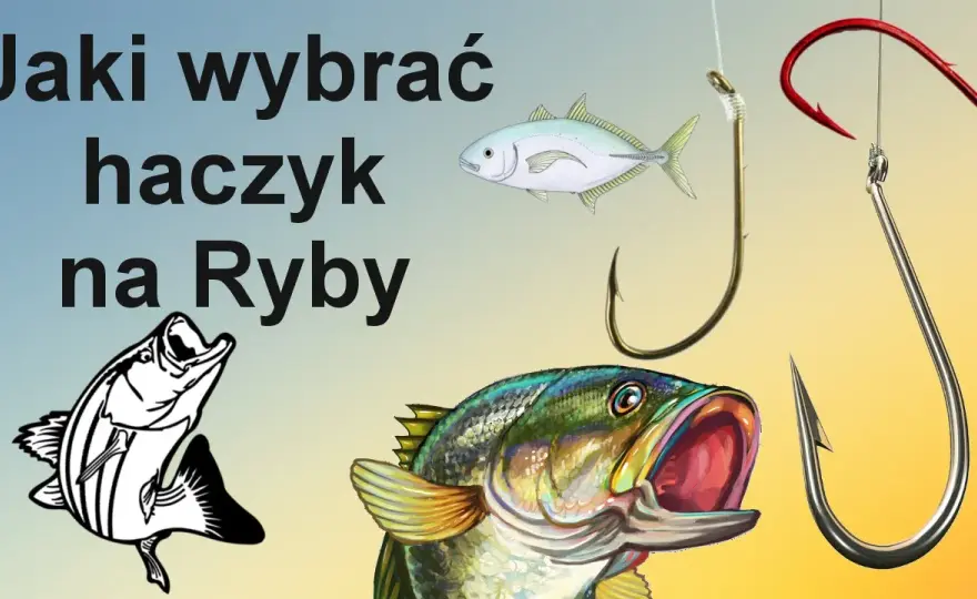 Haczyk nr 8: Na jakie ryby spokojnego żeru? Sprawdź!