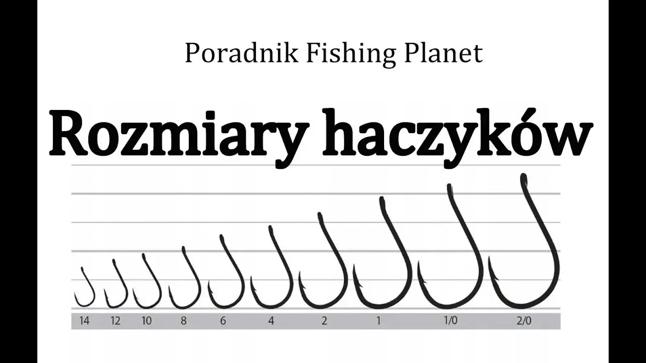 Najlepszy haczyk na amura: Rozmiar, kształt i typy. Poradnik.