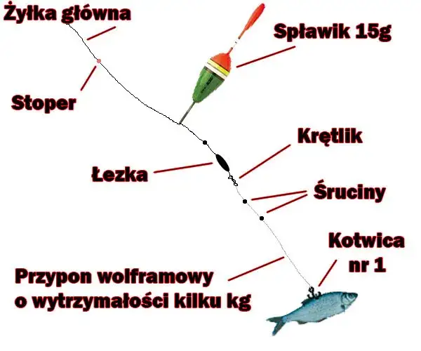 Różne metody zakładania żywca na haczyk schemat