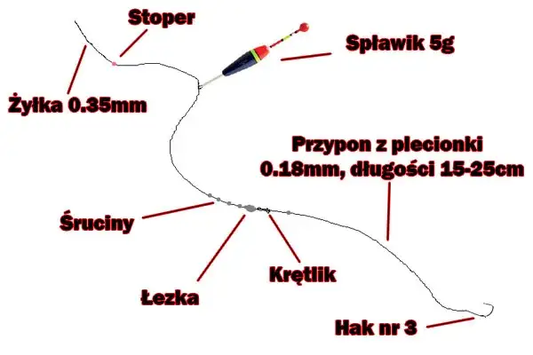 zestaw spławikowy na amura