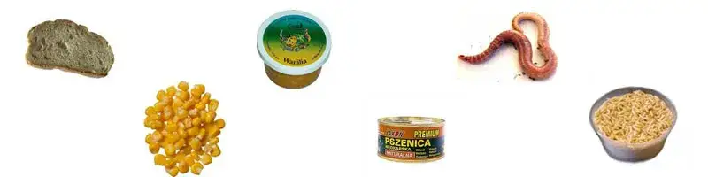 różne przynęty na leszcza
