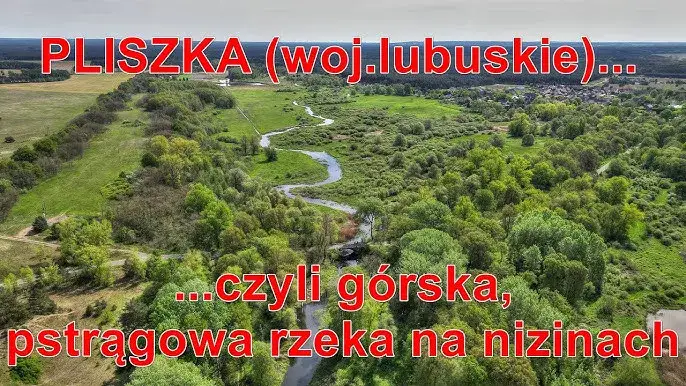 Górska rzeka pstrągowa w Polsce